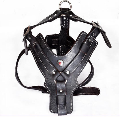 Genuine Leather Dog Harness - treasure supply