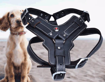 Genuine Leather Dog Harness - treasure supply