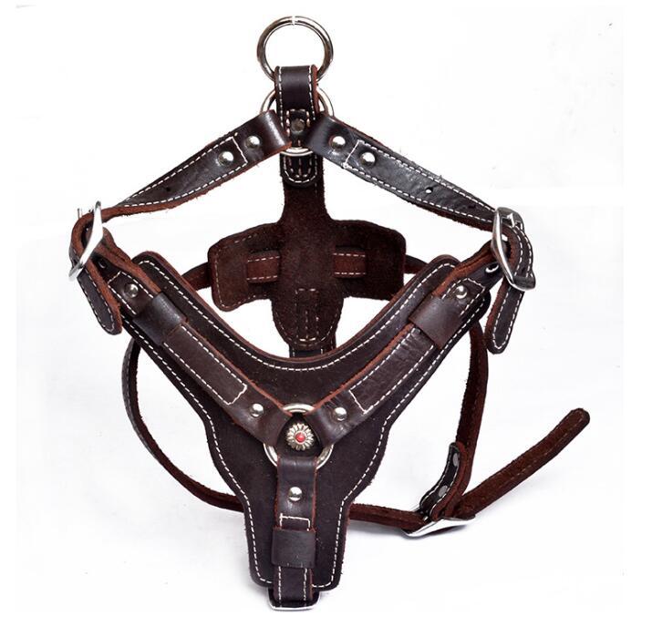 Genuine Leather Dog Harness - treasure supply