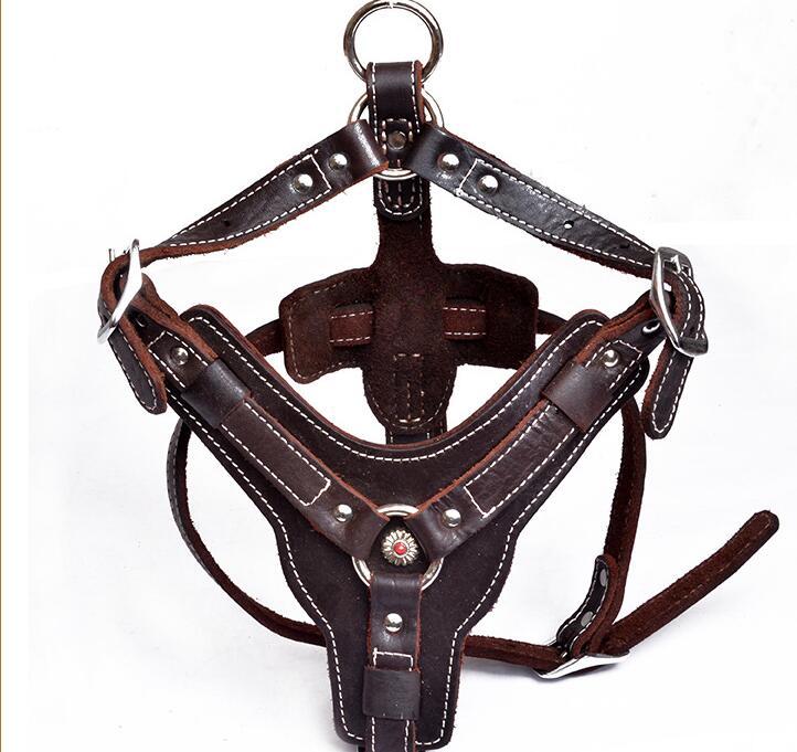 Genuine Leather Dog Harness - treasure supply