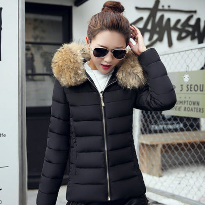 Winter women Long Down-Cotton Jacket - treasure supply