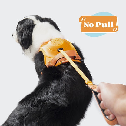 No Pull Dog Pet Harness Adjustable - - treasre supply